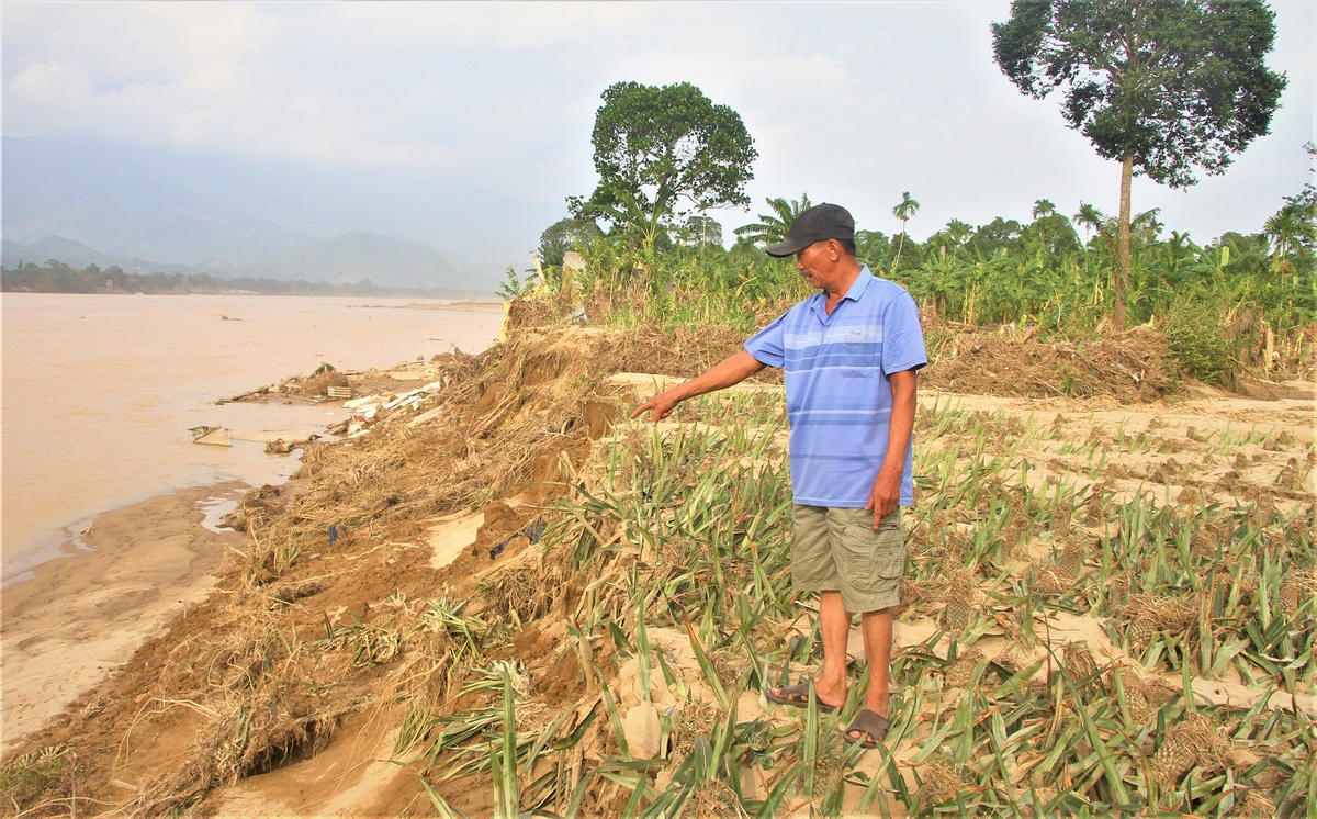 Ông Nguyễn Huỳnh chỉ diện tích đất trồng thơm sạt lở xuống sông Vu Gia. Ảnh: Tấn Thành.