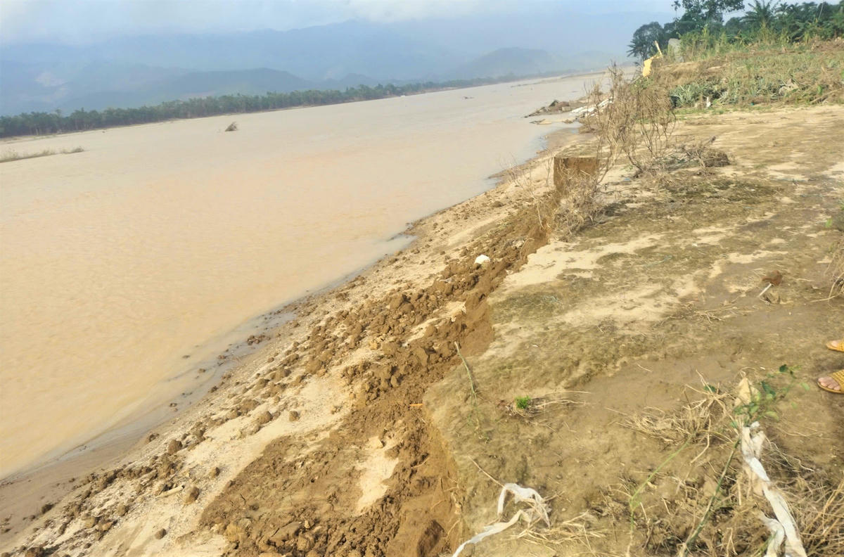 Lũ làm dòng sông Vu Gia sạt lở nghiêm trọng cuốn trôi hoa màu của người dân. Ảnh: Chí Đại.