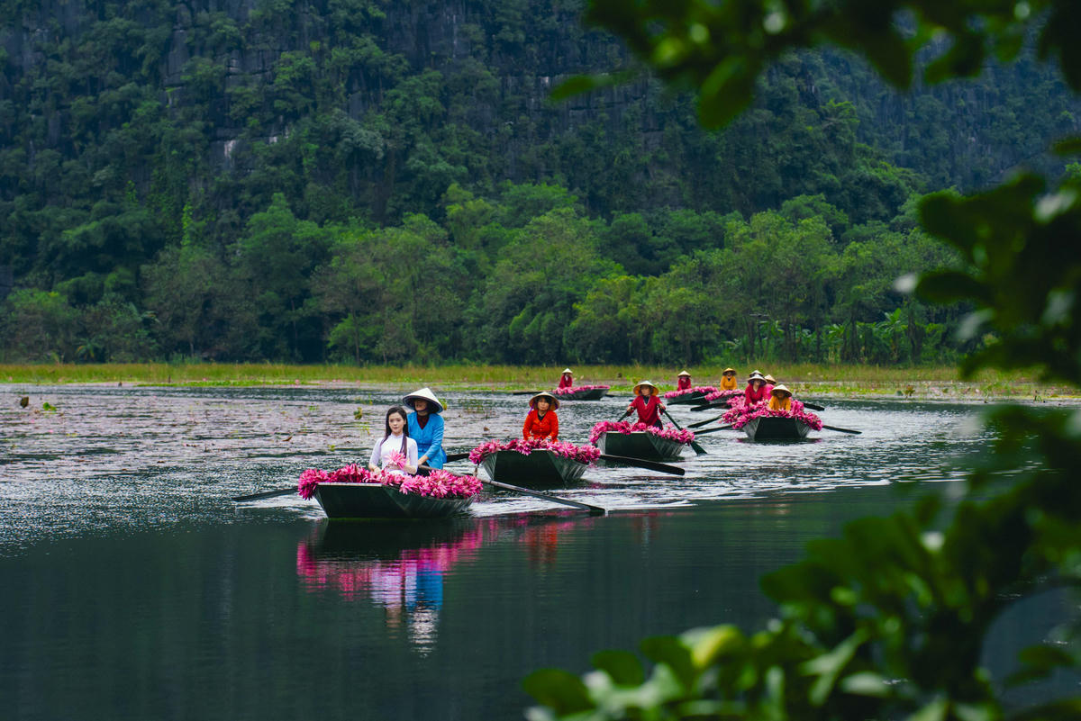 Du khách đến Tam Cốc mùa này thường chọn đi thuyền buổi sớm, khoảng từ 7 - 10h, lúc ánh nắng nhẹ chiếu lên dòng sông, khiến sắc hoa càng thêm rực rỡ, phản chiếu lung linh dưới làn nước trong. Ảnh: Ngọc Linh