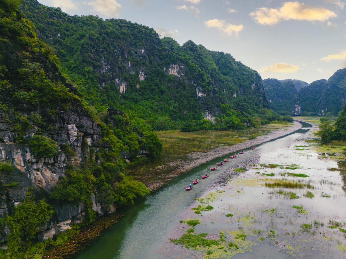 Theo đại diện Khu du lịch Tam Cốc - Bích Động, ừ sức hút của mùa hoa súng, mỗi ngày, Tam Cốc ước đón khoảng 1.000 lượt khách, trong đó khách quốc tế chiếm tới 70%. Ảnh: Đình Minh