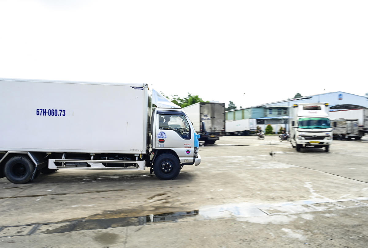 Xe lạnh vào ra liên tiếp chở hải sản đi tiêu thụ. Ảnh Nguyễn Minh.