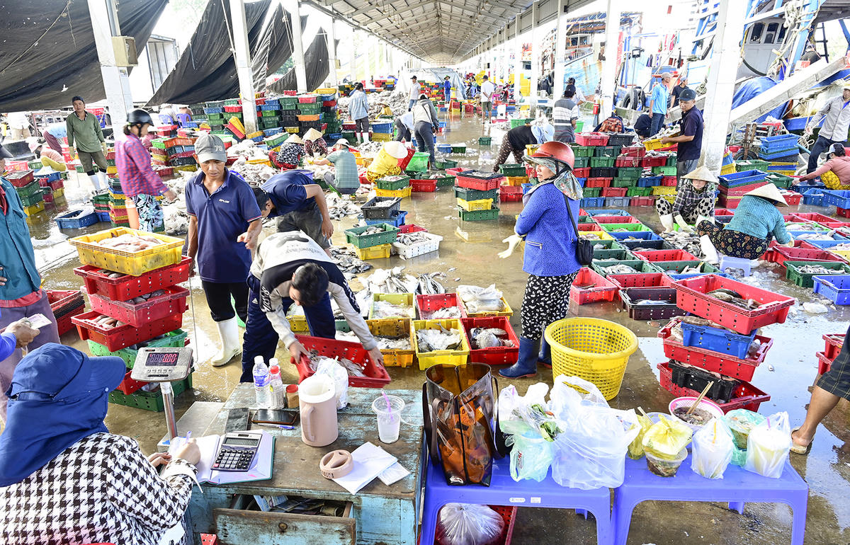 Cảnh nhộn nhịp ở cảng cá Tắc Cậu vào sáng sớm với cả trăm ngư dân, tiểu thương đến tham gia các hoạt động thương mại, hậu cần. Ảnh Nguyễn Minh.