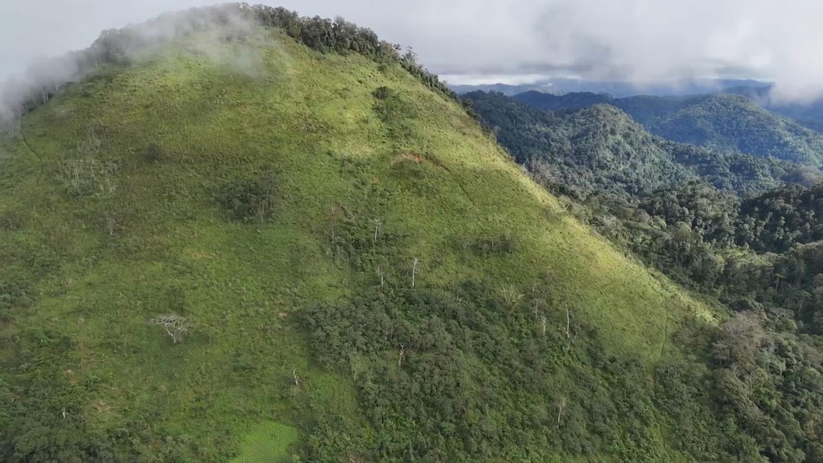 Khu vựt nứt núi hơn 300m mới phát hiện. Ảnh: CV