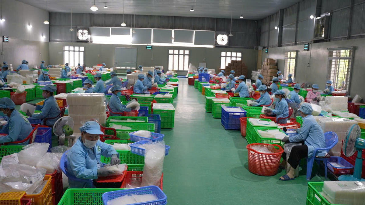 TPHCM muốn lấy chuyển xanh và số làm động lực chính cho tăng trưởng. Ảnh: S.X.