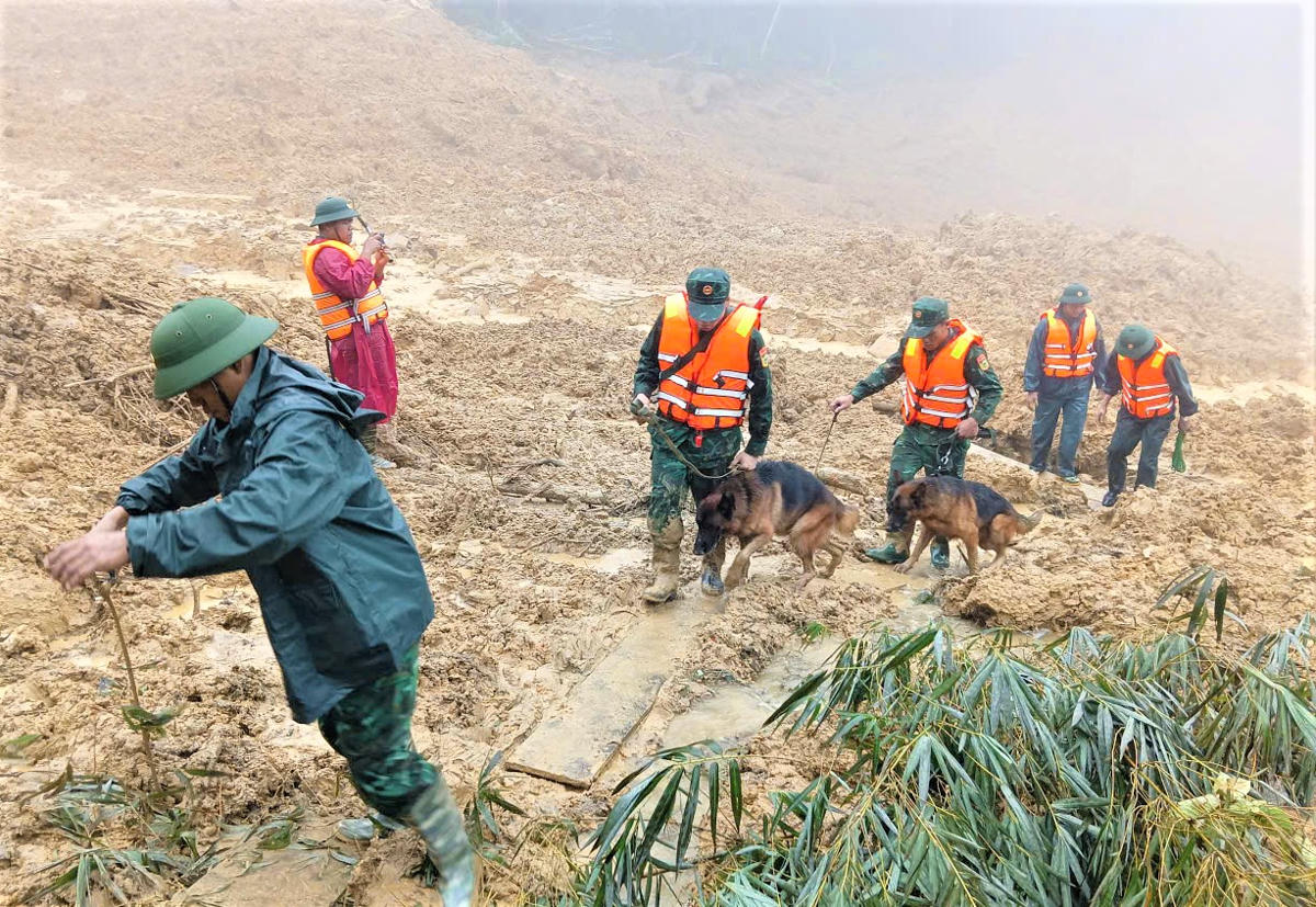 Những chó nghiệp vụ đang tìm kiếm 3 nạn nhân mất tích trong vụ sạt lở đất. Ảnh: CV.