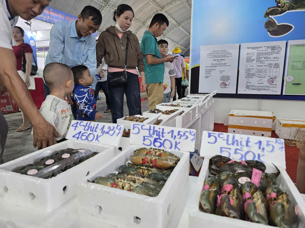 Cua Cà Mau không chỉ là một sản phẩm chất lượng cao, sản lượng dẫn đầu cả nước với trên 36 ngàn tấn/năm mà còn là biểu tượng văn hóa, là kết tinh giữa thiên nhiên và lao động của người dân vùng đất Mũi. Ảnh: Nguyên Du