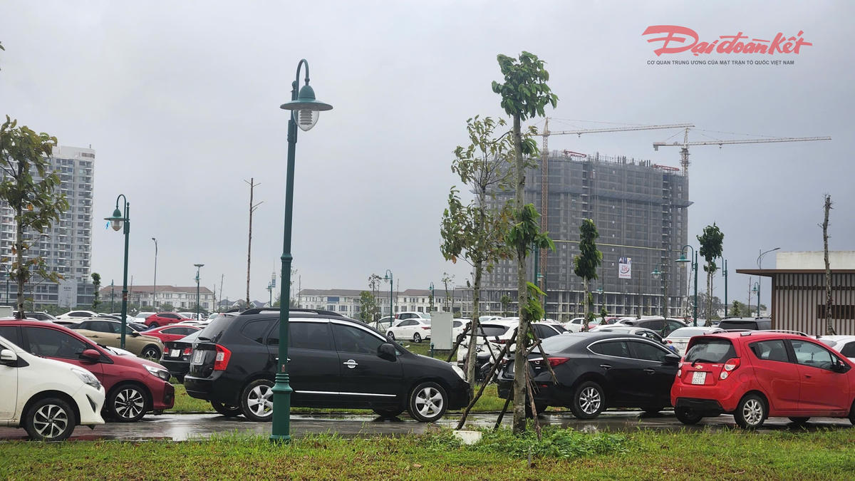 Người dân đưa xe ô tô lên cao để tránh lũ. Ảnh: N.Q.