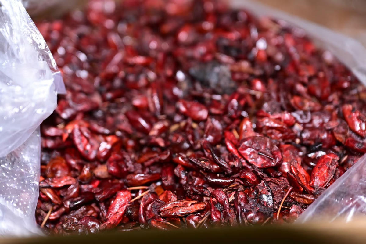 Tang vật thu giữ. Ảnh: Công an TP Hải Phòng.&nbsp;