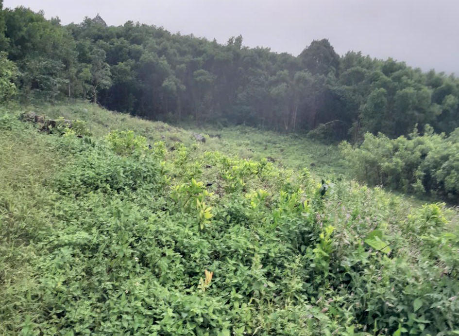 Núi Ngang xuất hiện vết nứt đe doạ đến các hộ dân sinh sống dưới chân núi. Ảnh: CV.