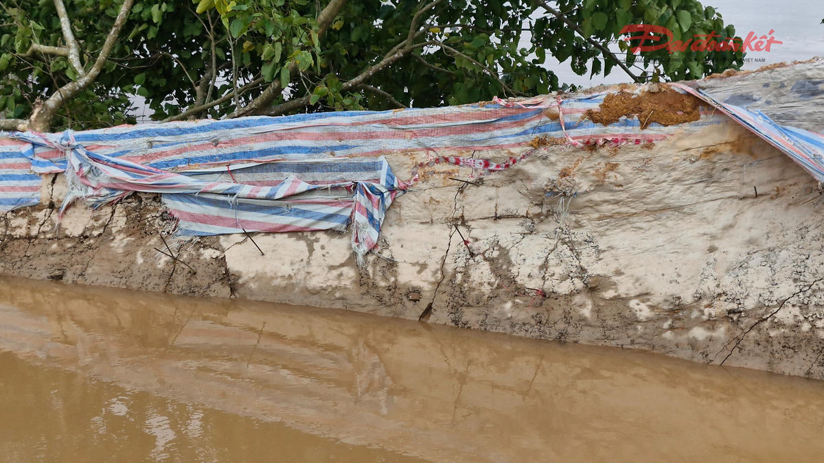 Bà Hồ Thị Diệu Hoàng (51 tuổi, ở gần khu vực bờ kè nói trên) ví von, lúc đỉnh điểm, bờ kè dựng đứng như một bức tường. Ảnh: Đ.V.