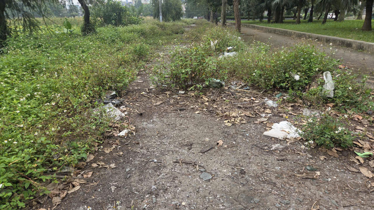 Hồ bị bỏ hoang, ô nhiễm nên nằm giữa một khu dân cư đông đúc nhưng đường quanh hồ có người qua lại. Ảnh: Nam Dương.