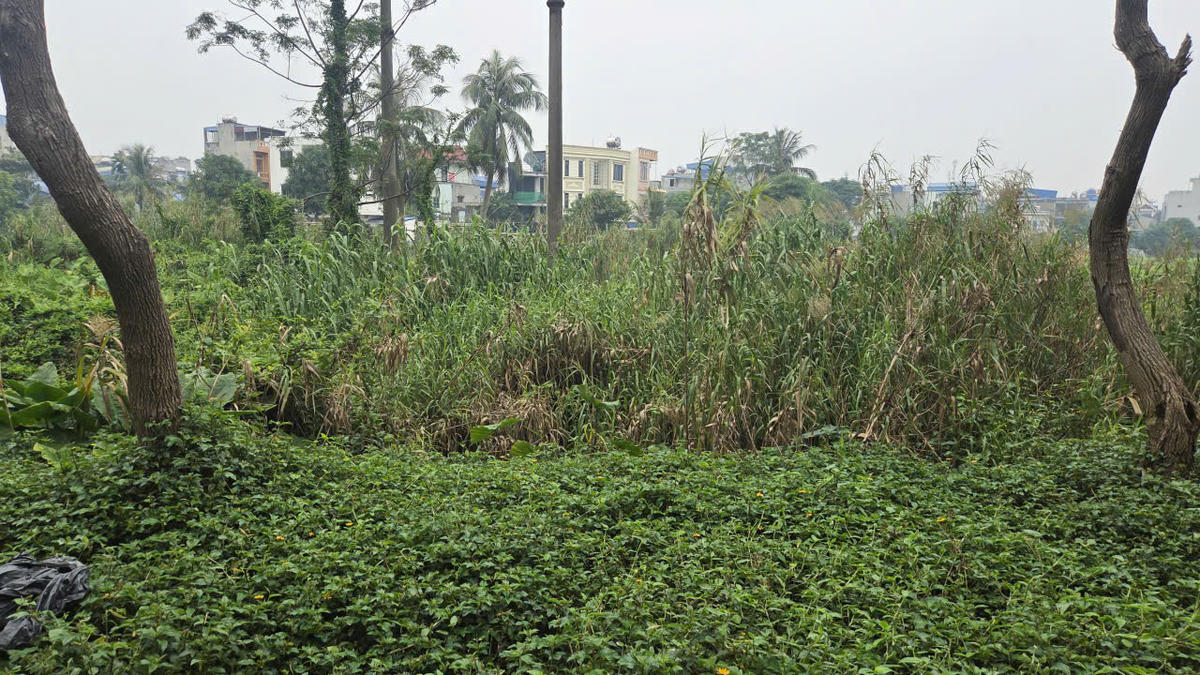 Theo ông Vũ Văn Biên, Tổ trưởng Tổ dân phố số 11, phường Nam Định cho biết, cán bộ, nhân dân đã nhiều lần phản ánh tình trạng hoang hóa, mất vệ sinh, ô nhiễm môi trường ở khu vực hồ An Trạch tới chính quyền địa phương, các đại biểu HĐND các câp, đại biểu Quốc hội tại các kỳ tiếp xúc cử tri có biện pháp nạo vét, cải tạo công trình nhưng đến nay vẫn chưa được quan tâm giải quyết. Ảnh: Nam Dương.