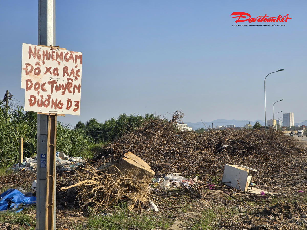 Trước đó, UBND phường Vinh Hưng đã yêu cầu công ty vận chuyển toàn bộ cành, lá cây ra khỏi đường D3 trước ngày 20/9/2025, nhưng đến nay vẫn chưa hoàn thành. Công ty cho biết lượng cành, lá cây khô chưa vận chuyển kịp vì dễ gây cháy, đồng thời đang xin ý kiến tỉnh để thực hiện phương án xử lý. Các bên thống nhất sẽ tận thu rác gỗ cây làm chất đốt, số còn lại sẽ được xúc đi xử lý theo quy định. Hàng ngày, Công ty vẫn phân công xe rác mang các loại rác đã phân hủy đi xử lý. Ảnh: ĐB