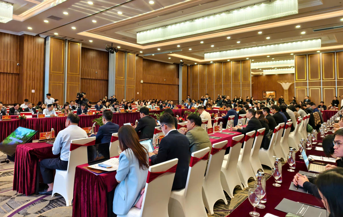 Toàn cảnh hội nghị. Ảnh: Đình Minh&nbsp;