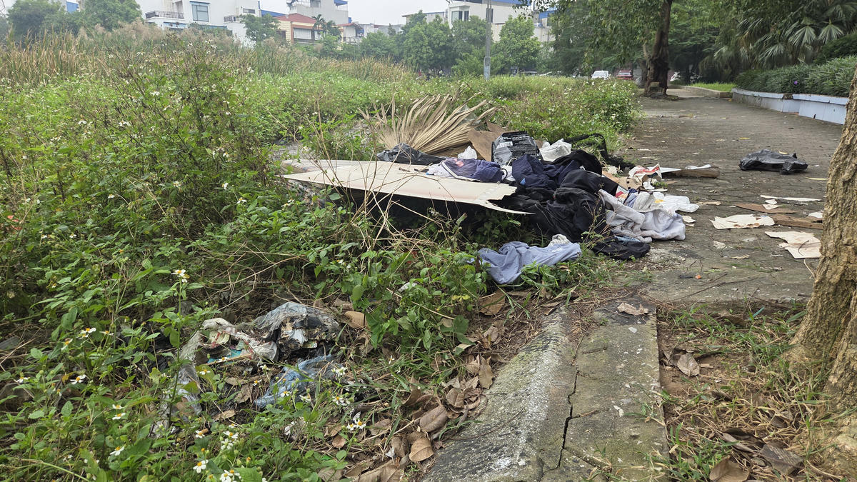 Con đường dài chạy dọc ven hồ không được thu dọn, cỏ dại mọc kín lối đi. Ảnh: Nam Dương.