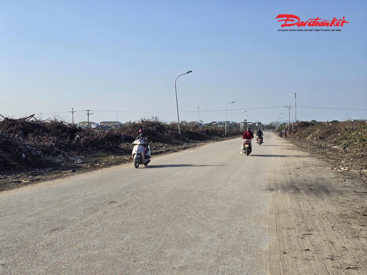 Theo đó, khu vực này, vốn được sử dụng làm điểm tập kết tạm cành, lá cây đổ gãy sau bão số 5 và số 10. Nhưng nay đã trở thành bãi rác tự phát khi tồn tại quá lâu gây ô nhiễm môi trường. Ảnh: ĐB