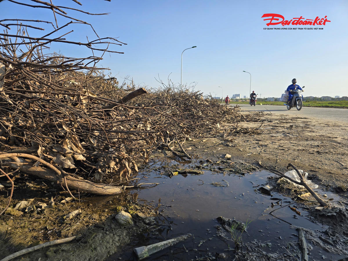 Tình trạng này không chỉ gây ô nhiễm môi trường, mùi hôi thối nồng nặc, ruồi nhặng bu đầy mà còn ảnh hưởng đến hạ tầng kỹ thuật, làm cản trở giao thông và giảm tính thẩm mỹ của đô thị. Ảnh: ĐB
