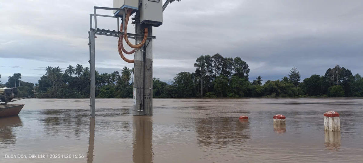 Lũ trên sông Sêrêpốk lên cực nhanh, nguy cơ vượt báo động 3. Ảnh: CTV.