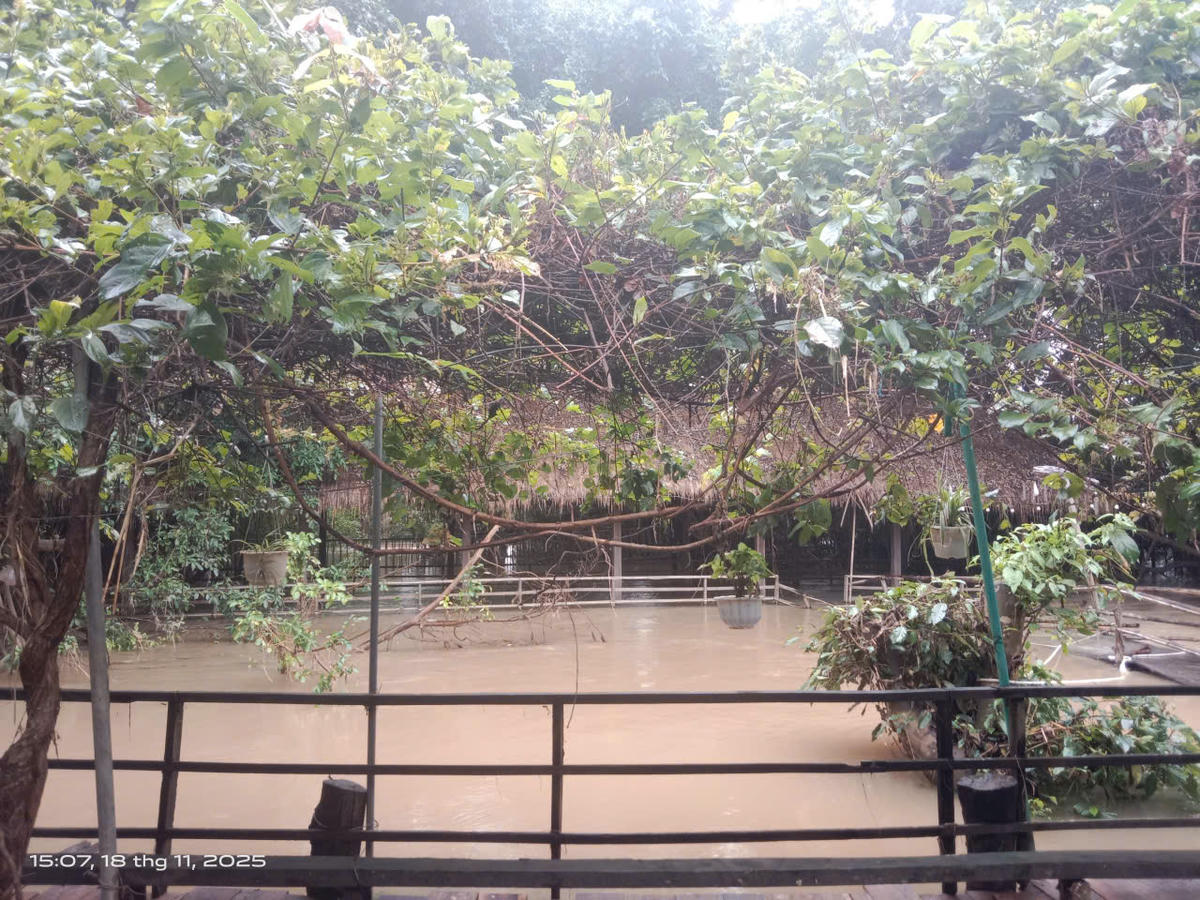 Điểm du lịch cầu treo Buôn Đôn.