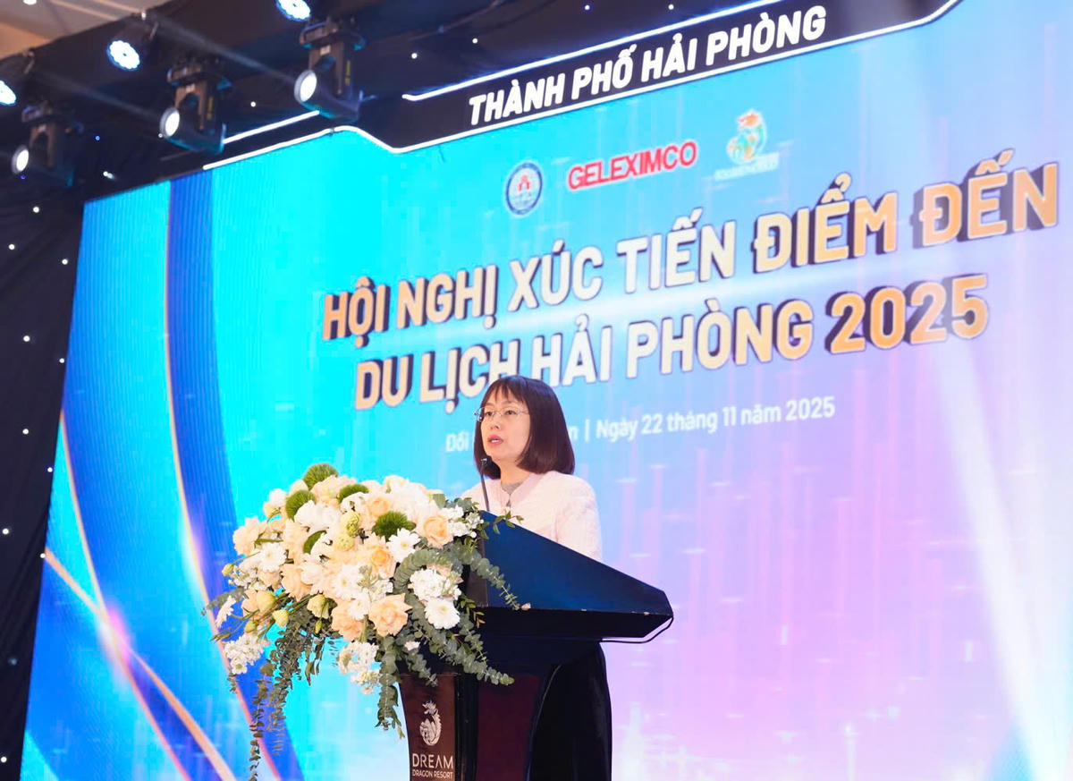 Bà Nguyễn Thị Hoa Mai, Phó Cục trưởng Cục Du lịch Quốc gia Việt Nam phát biểu tại hội nghị. Ảnh: PT.