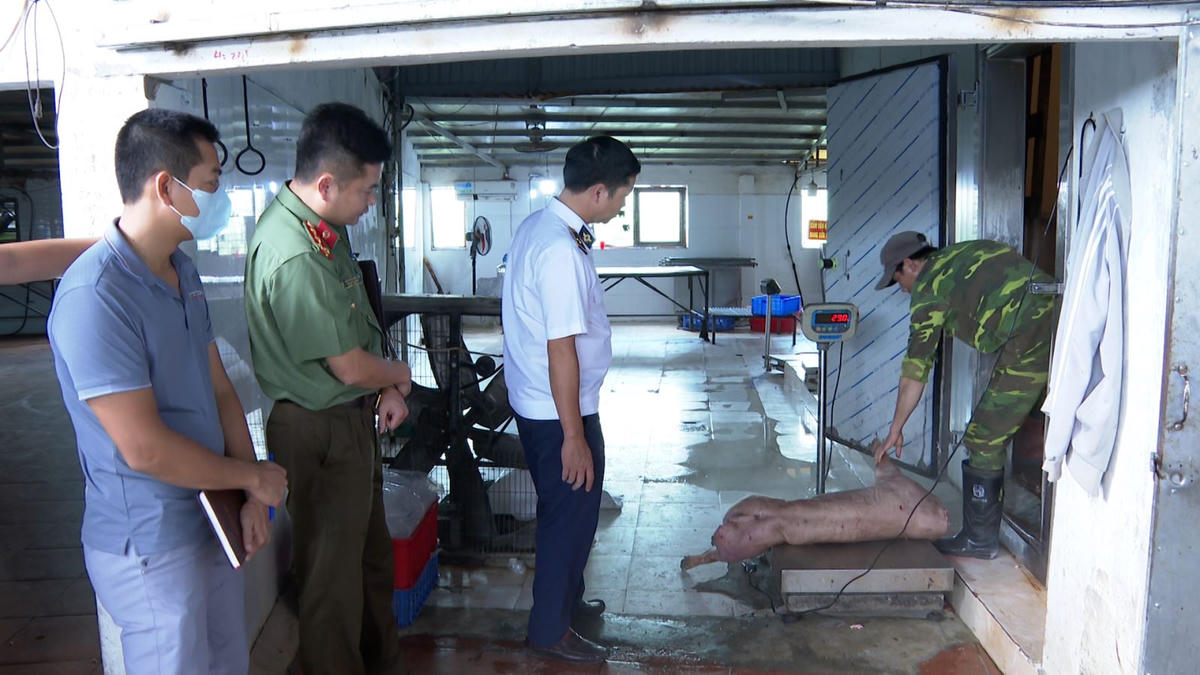 Cơ quan chức năng tỉnh Hưng Yên kiểm tra, lấy mẫu vật nuôi tại cơ sở phục vụ xét nghiệm. Ảnh: Công an tỉnh Hưng Yên.