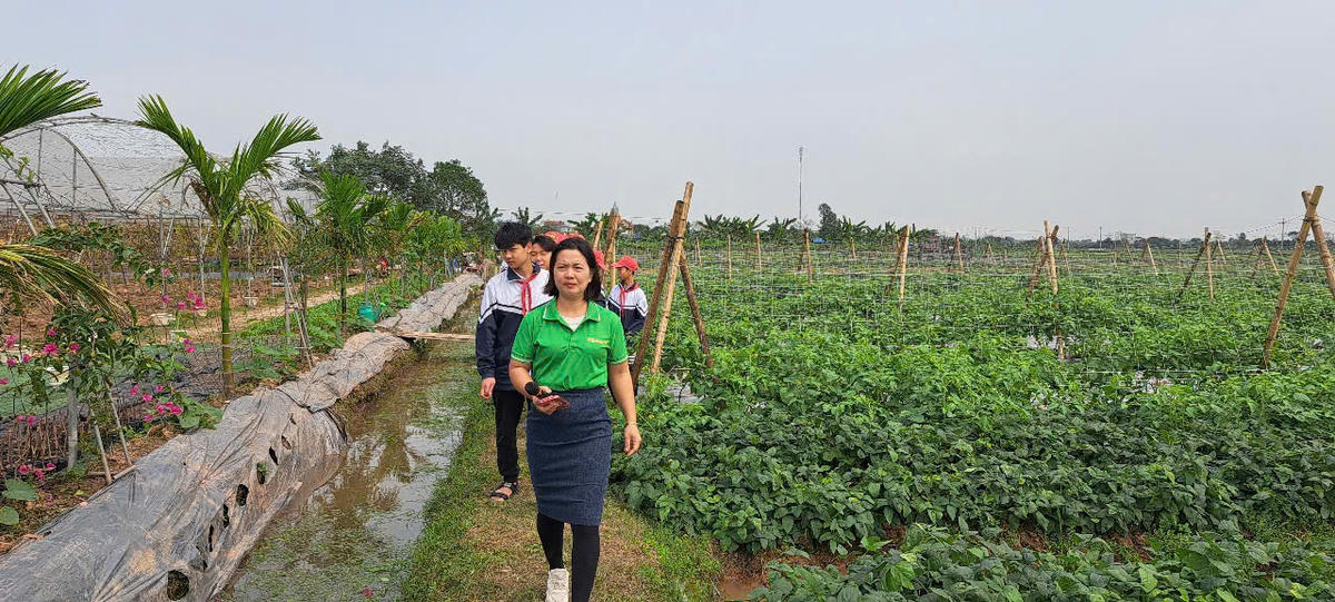 Nông trại của vợ chồng anh Hoàng Quốc Toản. 	Ảnh: Duy Hưng