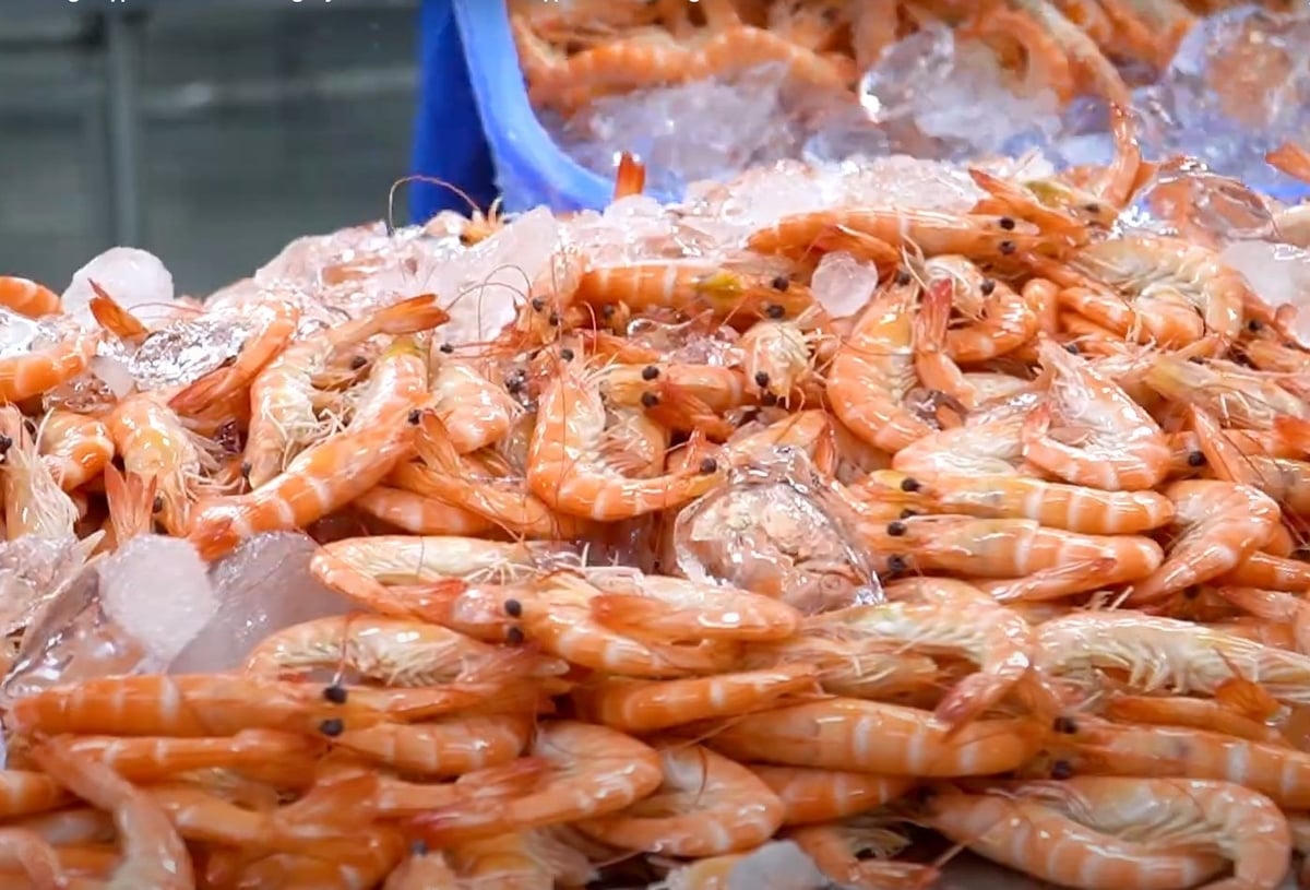 Doanh nghiệp Việt Nam và Australia đã tận dụng rất tốt những ưu đãi trong CPTPP, đưa kim ngạch thương mại giữa hai nước tăng trưởng rất mạnh. Ảnh: MOIT.