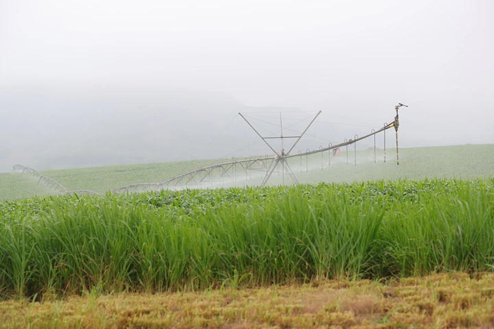 Nhờ tiếp cận thông tin và ứng dụng khoa học công nghệ vào sản xuất đã tăng hiệu quả sản xuất nông nghiệp, giúp nông dân thoát nghèo vươn lên làm giàu. Ảnh: Bộ KHCN