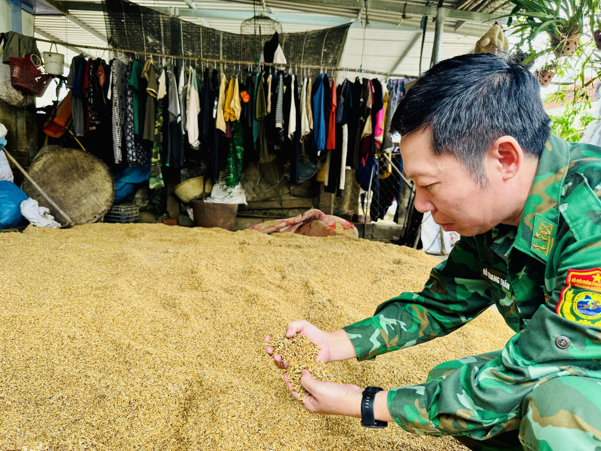 Những bao lúa còn lại đã mọc mầm. Ảnh: Thanh Nga.