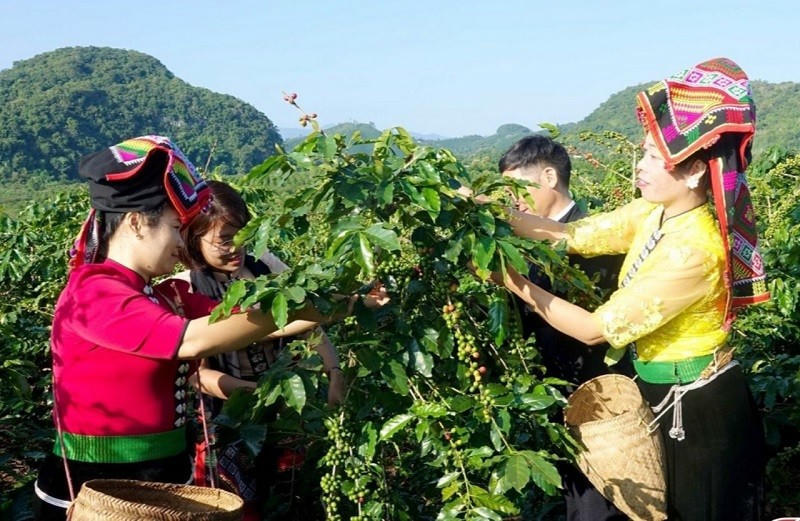 Nhờ làm tốt công tác chăm lo phát triển kinh tế vùng đồng bào DTTS, cuộc sống của người dân ngày càng được nâng lên. Ảnh: Quốc Định. 