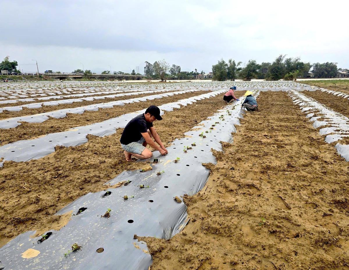 Gia Lai: Chung tay hướng tới cuộc sống mới 