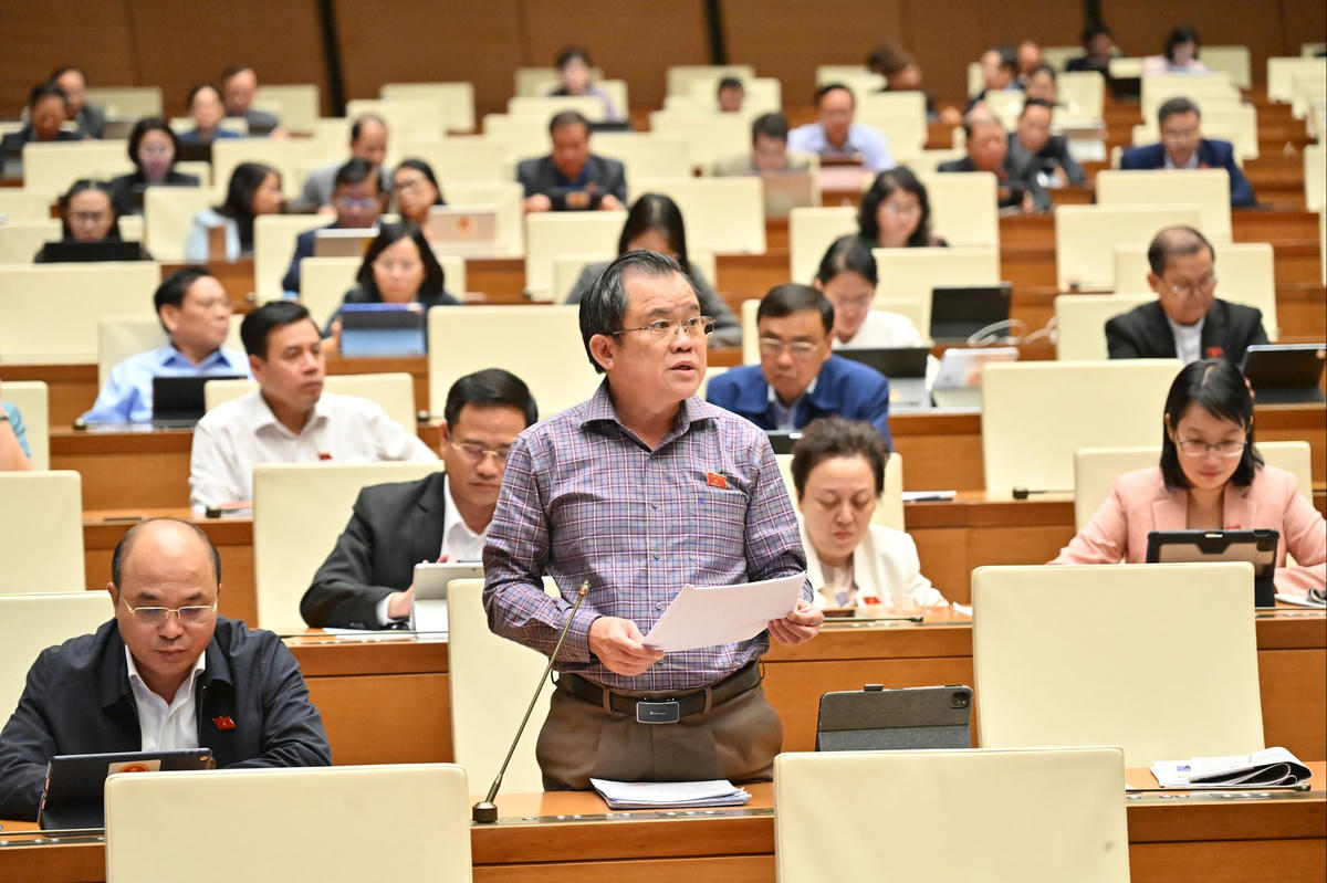 Đại biểu Nguyễn Tâm Hùng, đoàn TP. HCM. Ảnh: Quang Vinh