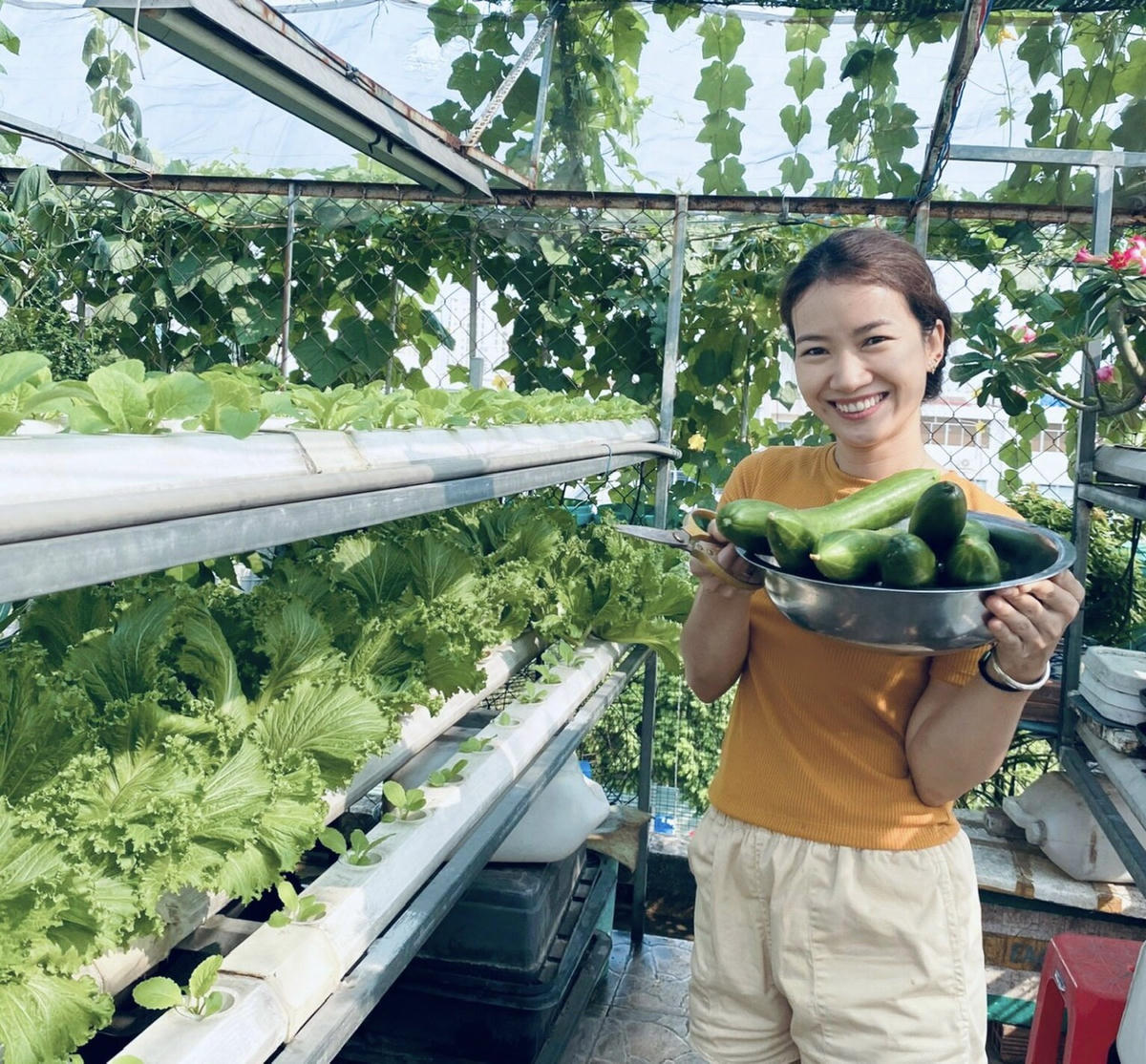 Tháo điểm nghẽn để nông nghiệp đô thị phát triển