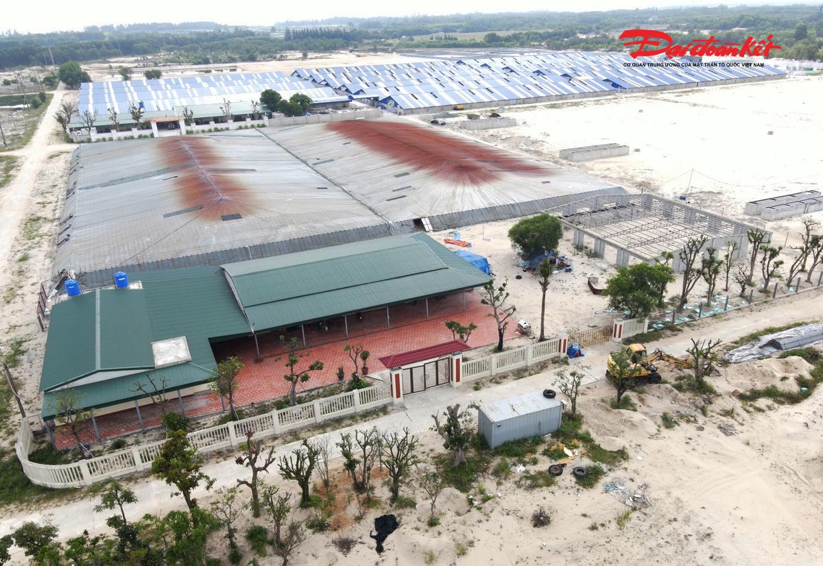 Một khu nuôi tôm công nghệ cao ở xã Yên Hoà, tỉnh Hà Tĩnh. Ảnh: CK.