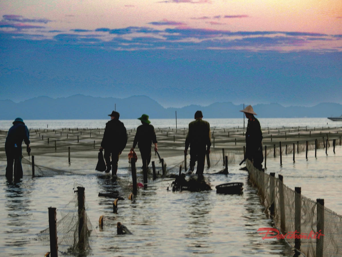 Các lực lượng phá dỡ một khu vực nuôi hến hoa trái phép. Ảnh: Đinh Hùng.