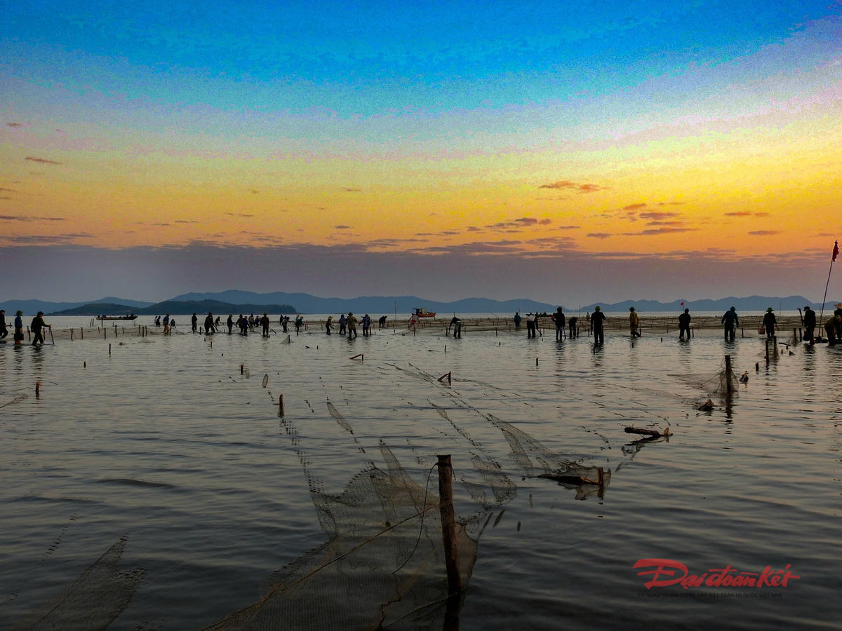 Tổ công tác của UBND xã Quảng Hà ra quân xử lý các khu vực bãi triều bị lấn chiếm. Ảnh: Đinh Hùng.