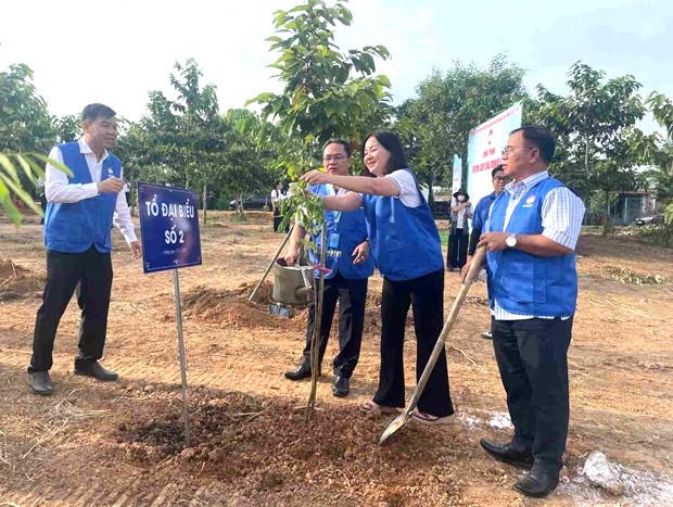 Ủy ban Mặt trận Tổ quốc Việt Nam TP Hồ Chí Minh tổ chức trồng "Vườn cây Đại đoàn kết" tại phường Chánh Hiệp, TP Hồ Chí Minh. Ảnh: Đ.T.