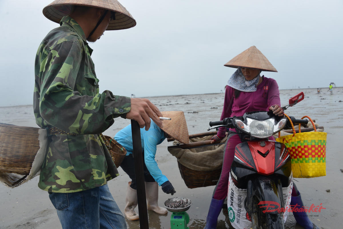 Ngư dân Quảng Hà lo lắng nguồn hải sản đang dần cạn kiệt. Ảnh: Nguyễn Quý.