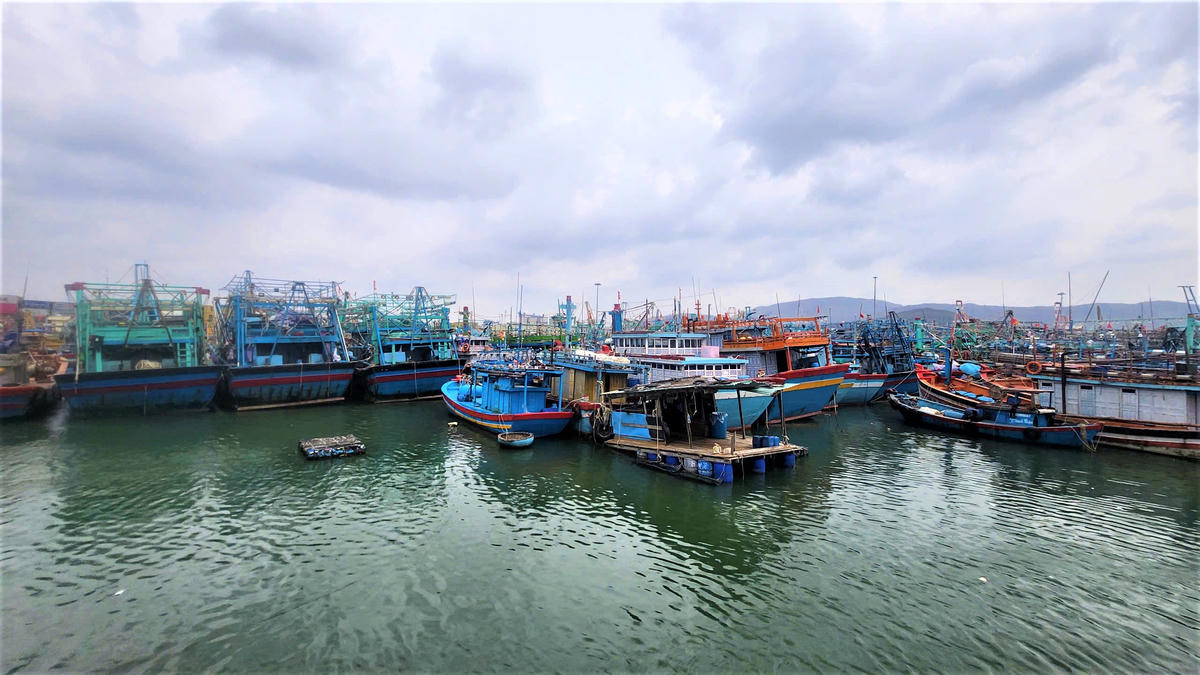 Tàu thuyền tỉnh Gia Lai neo đậu tại cảng Quy Nhơn trú tránh bão số 15. Ảnh: CV
