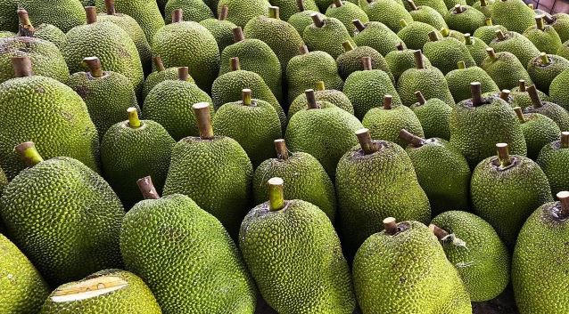 Mít tươi là loại trái cây thứ tư của Việt Nam xuất khẩu chính ngạch sang Trung Quốc. Ảnh: NN