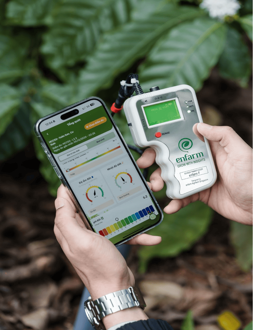 Ứng dụng công nghệ đo dinh dưỡng trong đất của Enfarm có thể giúp tăng năng suất cây trồng. Ảnh: TL.