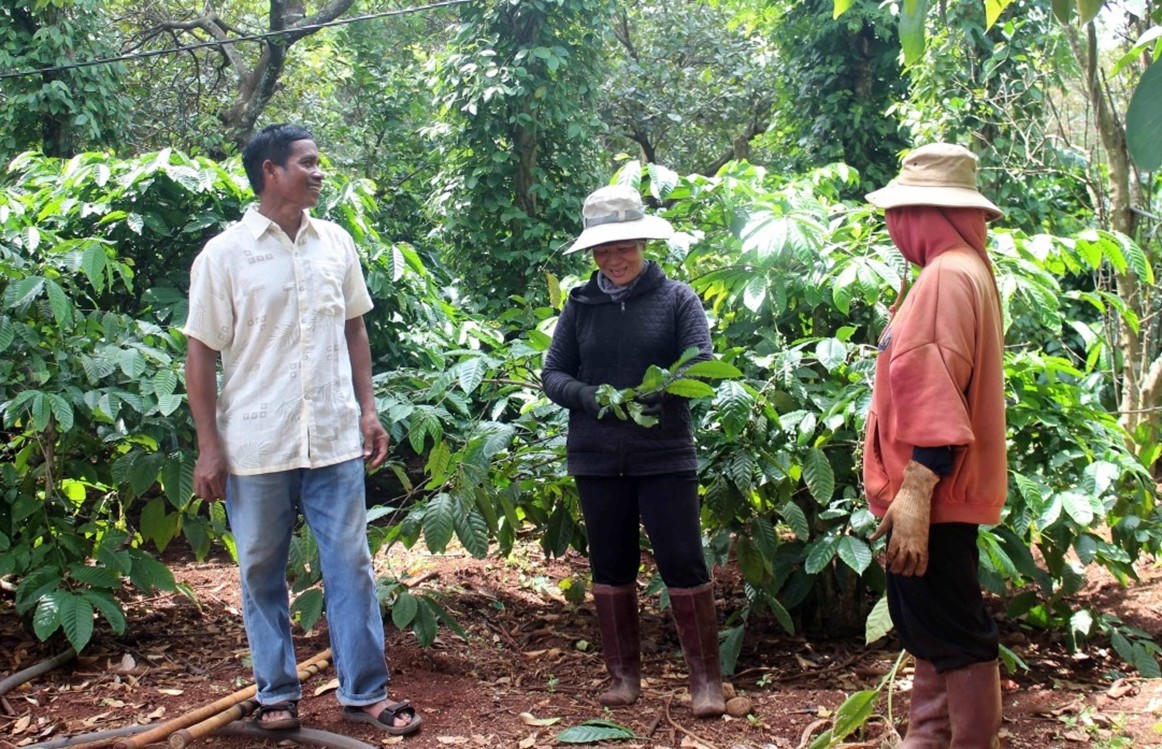 Người dân xã Ea Na dần thay đổi tư duy sản xuất, trồng xen canh nhiều loại cây trên cùng diện tích đất. Ảnh: Hồng Anh