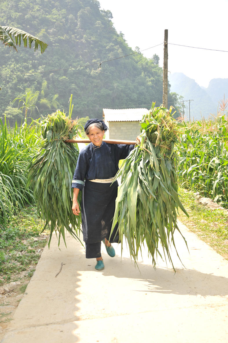 Khi thông tin đến được với người dân thì giảm nghèo bền vững không còn là chuyện xa vời.
