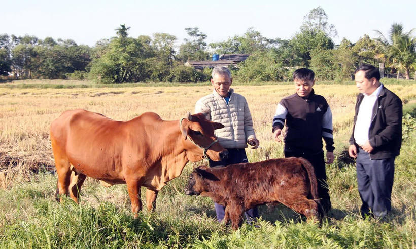 Người dân Bắc Ninh được cung cấp đầy đủ thông tin và ứng dụng khoa học công nghệ vào sản xuất, chăn nuôi. Ảnh: Trung tâm TTKHCN