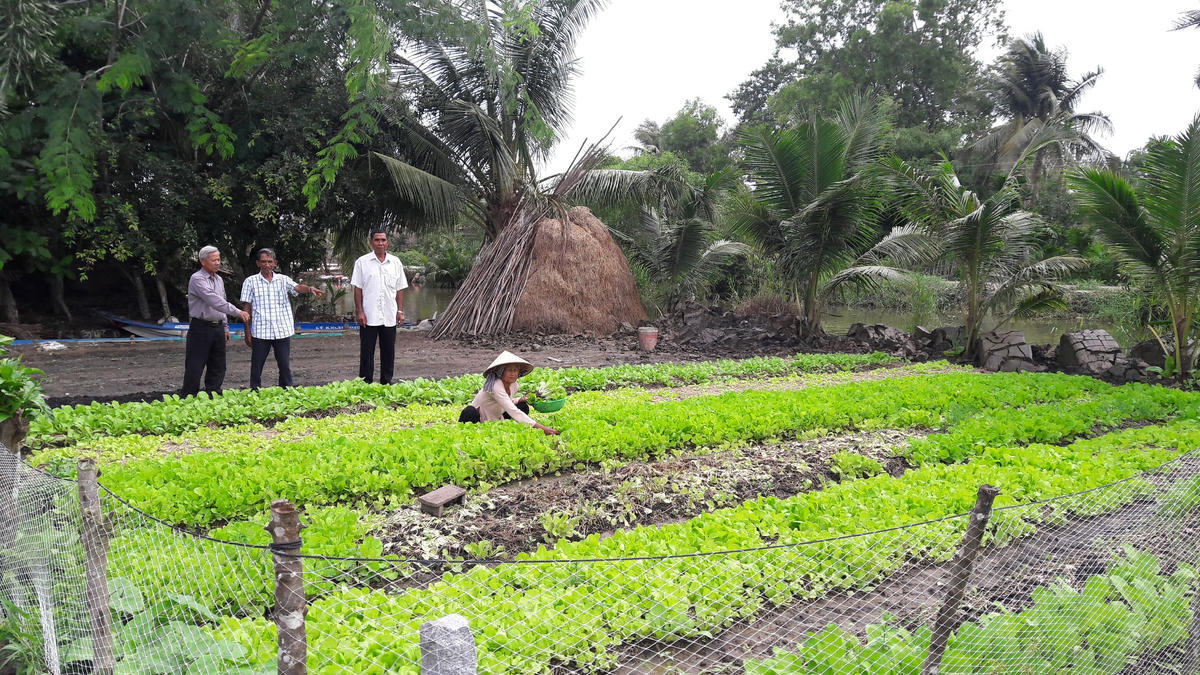 Hơn 1.100 hộ đồng bào dân tộc thiểu số được hỗ trợ từ đề án. Ảnh: Nguyên Du