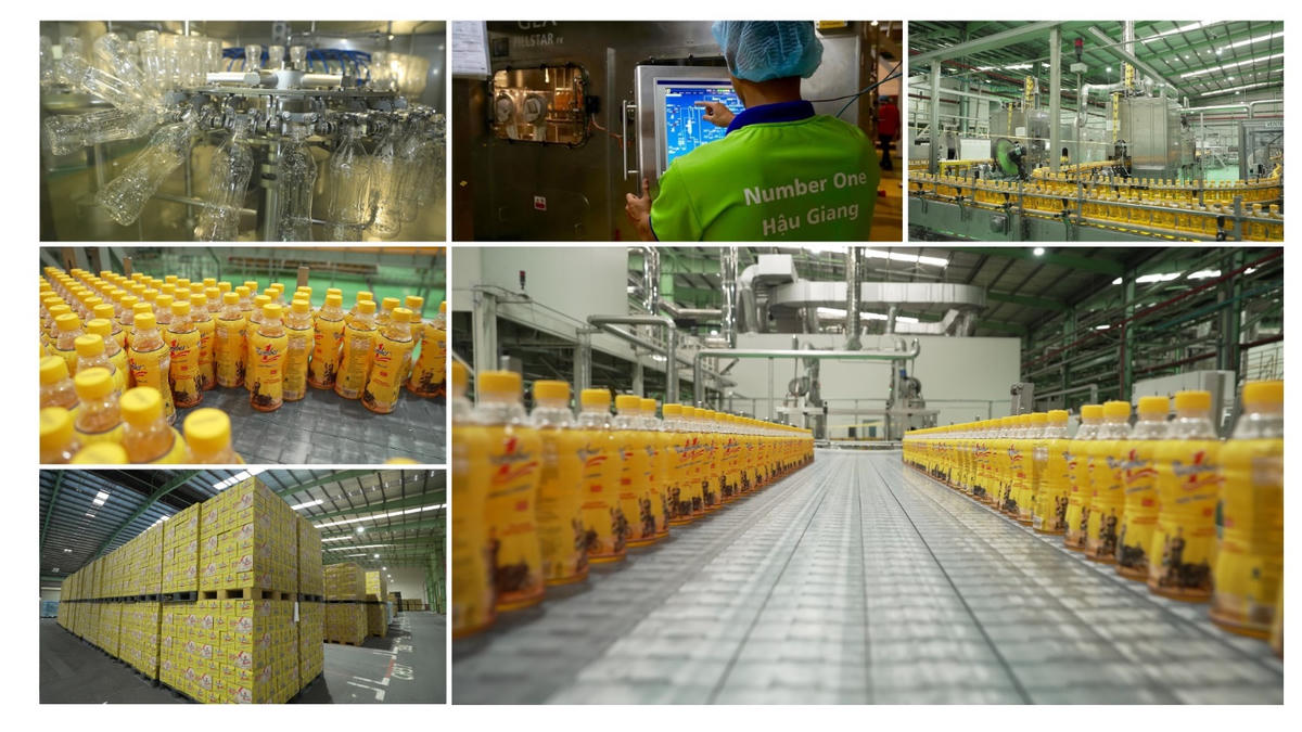 Khi năng lượng sạch trở thành xu hướng của Gen Z