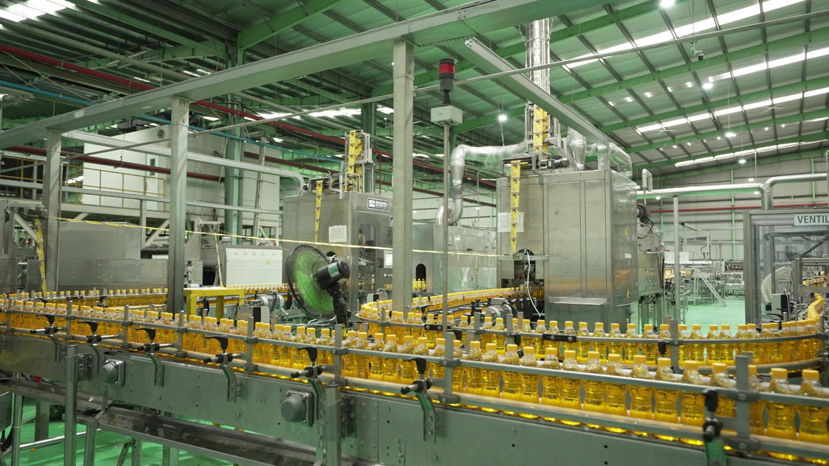 Khi năng lượng sạch trở thành xu hướng của Gen Z