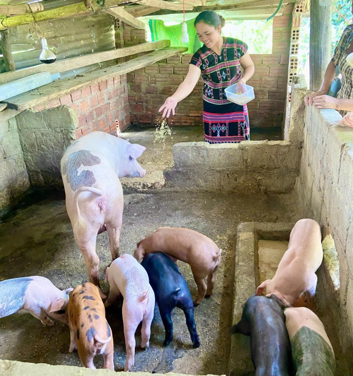 Nhiều mô hình phát triển sinh kế giúp người dân vùng cao vươn lên thoát nghèo bền vững. Ảnh: M.L.