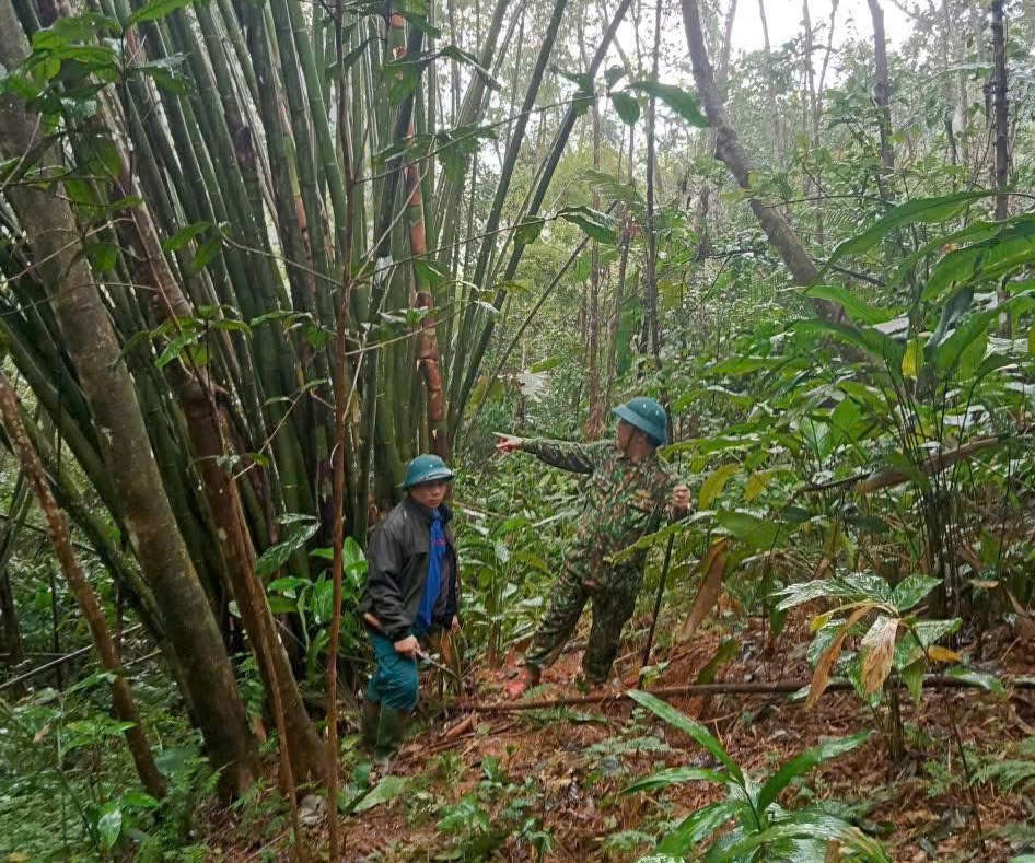 Khu vực nơi xuất hiện vết nứt trên đồi ở gần khu dân cư thôn Rà Bhượp. Ảnh: CV.