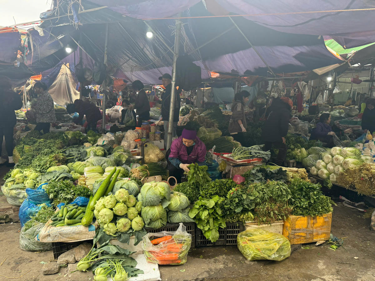 Giá nhiều loại rau đã giảm với nguồn cung khá phong phú. Ảnh: Lê Minh.